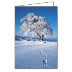 Schneezauber