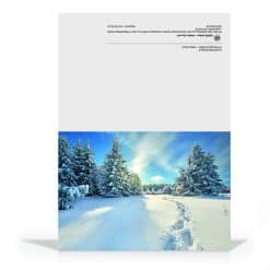 Christbaumwald