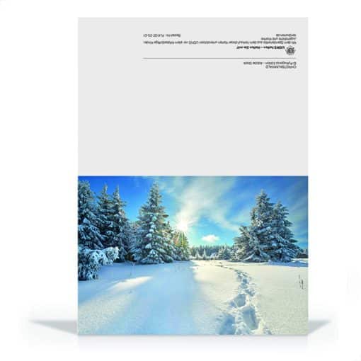 Christbaumwald – Bild 2